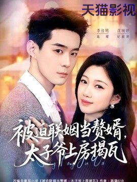 被迫联姻当赘婿，太子爷上房揭瓦