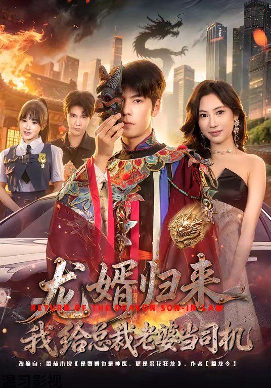 龙婿归来，我给总裁老婆当司机